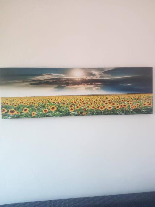 Il Girasole Apartment Cagliari Bagian luar foto